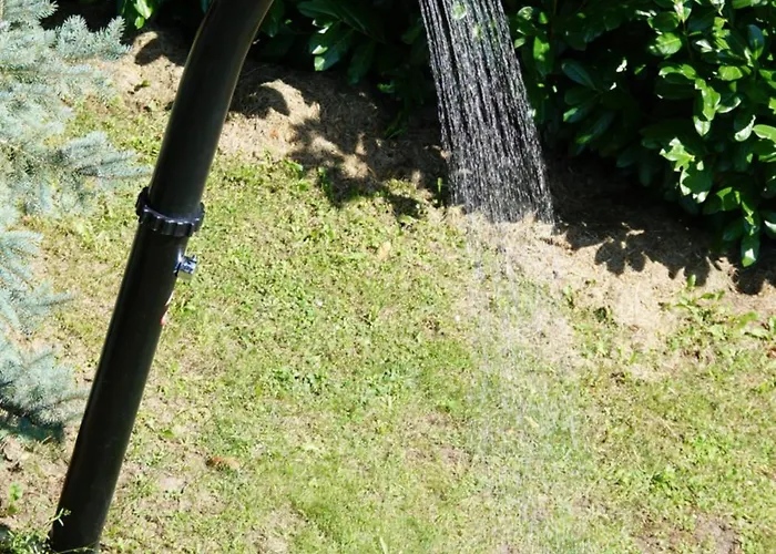 Ferienhaus Baumhaus Imbach